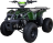 Квадроцикл RAPTOR ATV 200U Premium ALL 200cc 4Т