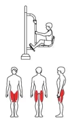 ZOV-019 Жим ногами двойной, фото 3