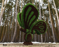 Топиари бабочка Какао - газон Eco, фото 1