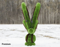 Топиари бабочка Какао - газон Eco, фото 6