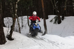 Снегоход SHARMAX SN-280, фото 20