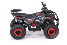 Квадроцикл MOTAX Grizlik X16 (PS, BW)