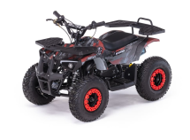 Квадроцикл MOTAX Grizlik X16 (PS, BW)