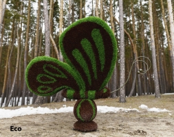 Топиари бабочка Какао - газон Premium, фото 5