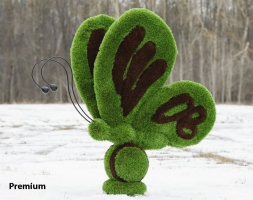 Топиари бабочка Какао - газон Premium, фото 1