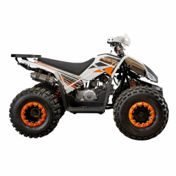 Квадроцикл детский YACOTA SPORTY XX, фото 3 Квадроцикл детский YACOTA SPORTY XX, фото 3