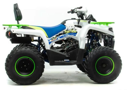 Квадроцикл MOTOLAND 200 Shark (2021 Г.), фото 3