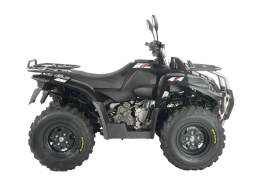 Квадроцикл ACCESS AMX400, фото 3 Квадроцикл ACCESS AMX400, фото 3