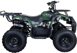 Квадроцикл RAPTOR ATV 200U Lux All 200cc 4Т, фото 4