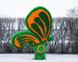 Топиари бабочка Какао Кристина - газон Eco, фото 1