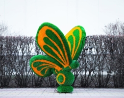 Топиари бабочка Какао Кристина - газон Eco, фото 2