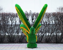 Топиари бабочка Какао Кристина - газон Eco, фото 3