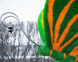 Топиари бабочка Какао Кристина - газон Eco, фото 4