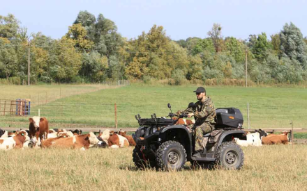 Квадроцикл BALTMOTORS Striker 700 EFI (ПСМ), фото 20