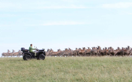 Квадроцикл BALTMOTORS Striker 700 EFI (ПСМ), фото 18