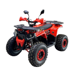 Квадроцикл BISON Forest 125 Lux