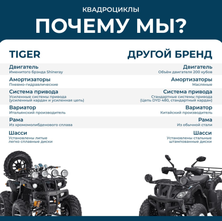 Квадроцикл TIGER Max Grade 300, фото 27