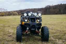 Квадроцикл TIGER Max Grade 300, фото 12 Квадроцикл TIGER Max Grade 300, фото 12