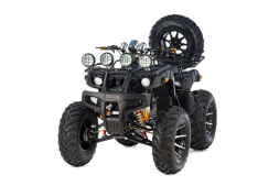 Квадроцикл TIGER Max Grade 300, фото 1 Квадроцикл TIGER Max Grade 300, фото 1