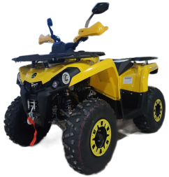 Квадроцикл GLADIATOR F200 Lux, фото 1