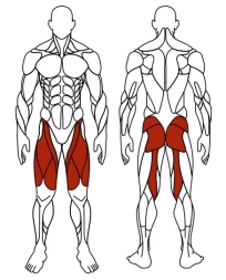 Вело (зеленый) - Уличный тренажер - СТ 016-12.И1, фото 6