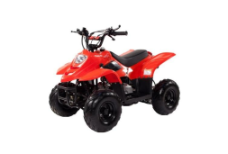Квадроцикл IRBIS Dingo 50s, фото 1