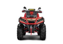 Квадроцикл AODES Pathcross 1000 MUD PRO, фото 2