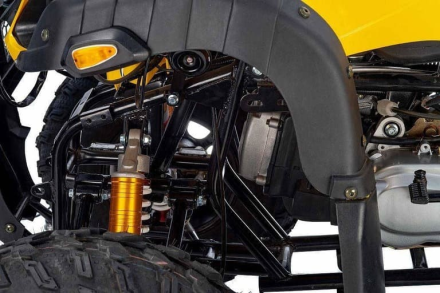 Квадроцикл RAPTOR Max Pro 250 (жёлтый/чёрный) (2024), фото 11