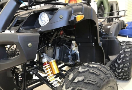 Квадроцикл RAPTOR Max Pro 250 (жёлтый/чёрный) (2024), фото 9