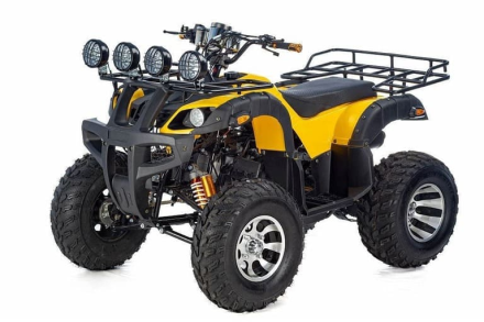 Квадроцикл RAPTOR Max Pro 250 (жёлтый/чёрный) (2024), фото 1