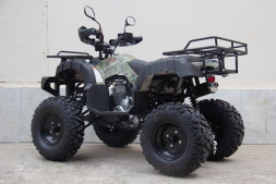 Квадроцикл UNIVERSAL Avenger 250 MECHANICS, фото 2