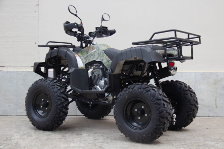 Квадроцикл UNIVERSAL Avenger 250 MECHANICS, фото 2