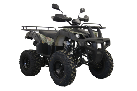 Квадроцикл UNIVERSAL Avenger 250 MECHANICS, фото 1