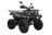 Квадроцикл UNIVERSAL Avenger 250 MECHANICS