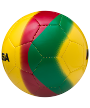 Мяч футзальный FSC-450 №4