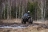 Квадроцикл AODES Pathcross MAX 1000 Army