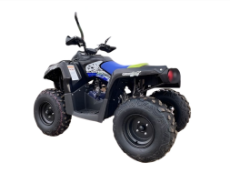 Квадроцикл GLADIATOR F200 Premium, фото 3