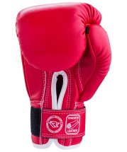 Перчатки боксерские RV-101, 14oz, к/з, красные