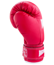 Перчатки боксерские RV-101, 14oz, к/з, красные