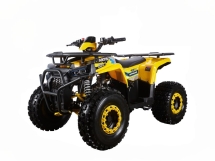 Багги Segway UTV Fugleman UT10 CREW PREMIUM