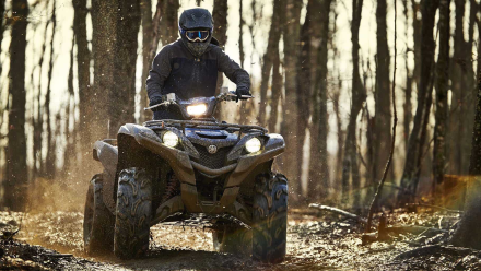 Квадроцикл YAMAHA Grizzly 700 EPS STD (ПСМ), фото 3
