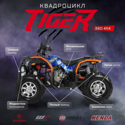 Квадроцикл TIGER 4х4 380, фото 2 Квадроцикл TIGER 4х4 380, фото 2