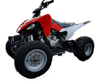 Квадроцикл MOTOLAND 250S Pro