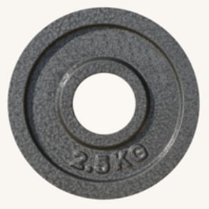 Диск JOHNS металлический, d51мм. 2,5кг., серый, фото 1