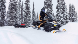 Снегоход BRP Ski-Doo Skandic LE 20″ 900 Ace (2023), фото 4