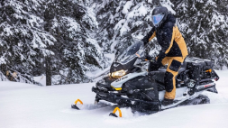 Снегоход BRP Ski-Doo Skandic LE 20″ 900 Ace (2023), фото 2