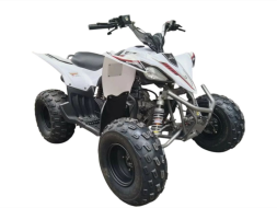 Квадроцикл MIKILON Rapide 120 EFI