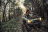 Квадроцикл KAWASAKI Brute Force KVF 750 4X4I EPS Camo (2023) (ПСМ)