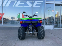 Квадроцикл IRIDE 200 ROVER, фото 5