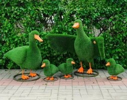 Топиари композиция Утки - газон Eco, фото 1